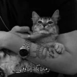 رمان یک زن وقتی