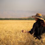 کتاب به سوی فانوس دریایی